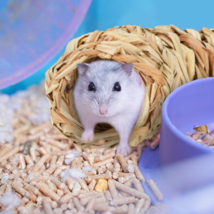 Hamster accessory set 7 pcs.