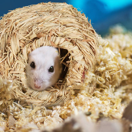 Hamster accessory set 7 pcs.
