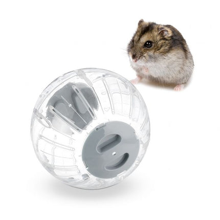 Hamster ball with gray lid