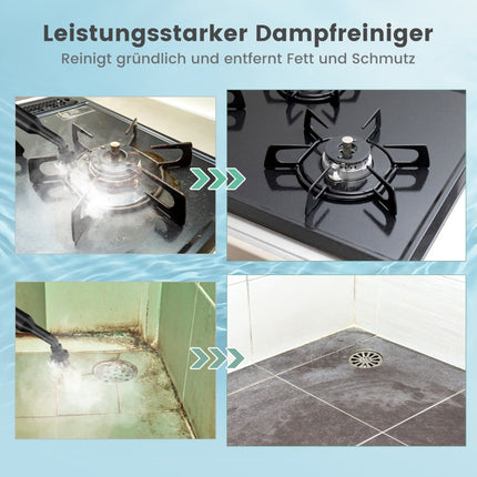 Handheld Steam Cleaner, 1500W, 400ml Tank, 125C
