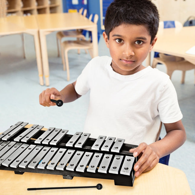 Hand percussion glockenspiel xylophone with mallets carrying bag 30 notes