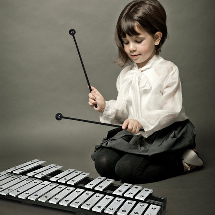 Hand percussion glockenspiel xylophone with mallets carrying bag 30 notes