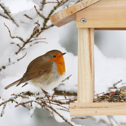 Hanging Birdhouse