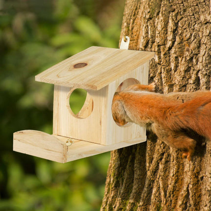 Hanging feeder for squirrels