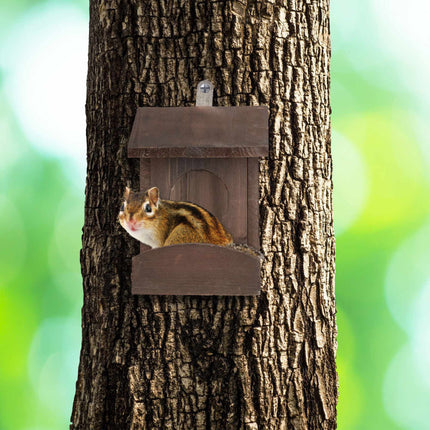 Hanging feeder for squirrels