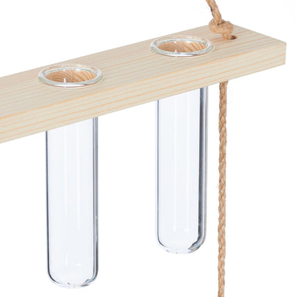 Hanging plant propagation station