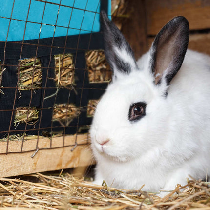 Hay bag for small animals