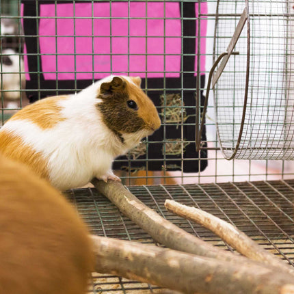 Hay bag for small animals
