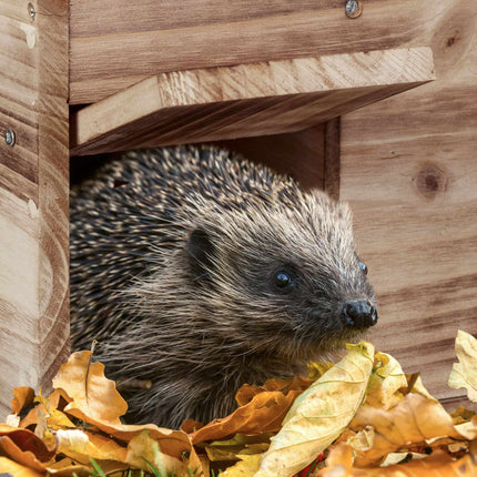 Hedgehog House Kit – Winter Hibernation Shelter, Flap Door