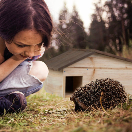 Hedgehog Shelter with Sloping Roof, Pine Wood