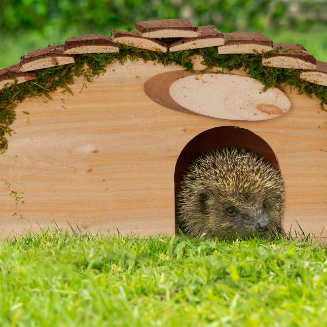 Hedgehog house with floor