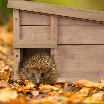 Hedgehog house with floor