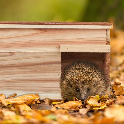 Hedgehog house with floor