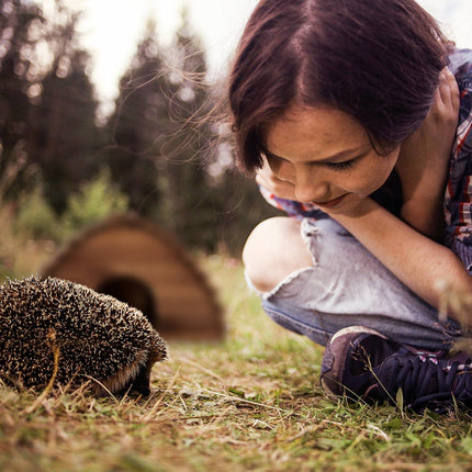 Hedgehog house with floor