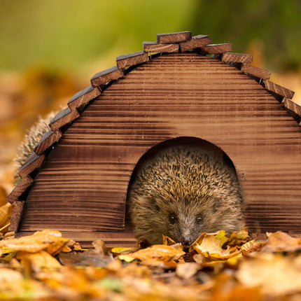 Hedgehog house with floor