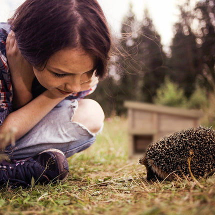 Hedgehog house with floor