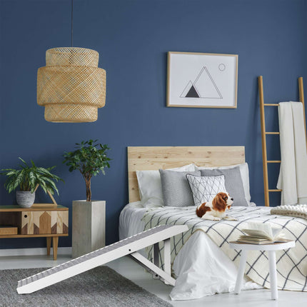 Height adjustable dog ramp