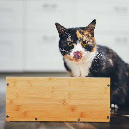 Height-adjustable feeding station for cats
