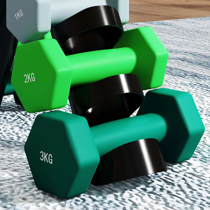 Hex Dumbbell Set with Rack – 1kg, 2kg, 3kg Pairs