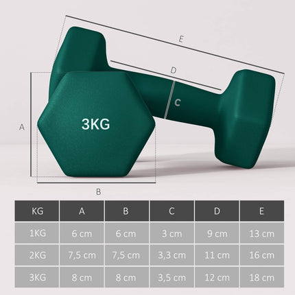 Hex Dumbbell Set with Rack – 1kg, 2kg, 3kg Pairs