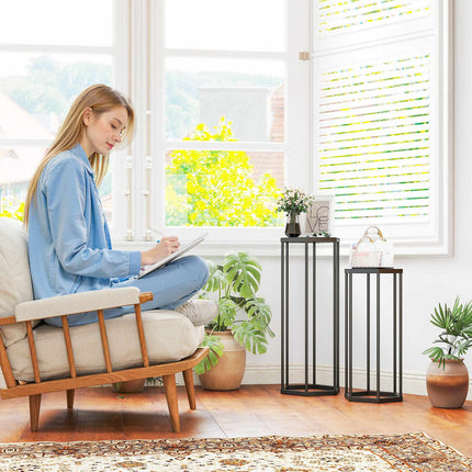 Hexagonal Metal Plant Stands, Indoor Outdoor, Set of 2