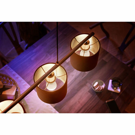 Hue White E14 P45 Globe 2-pack