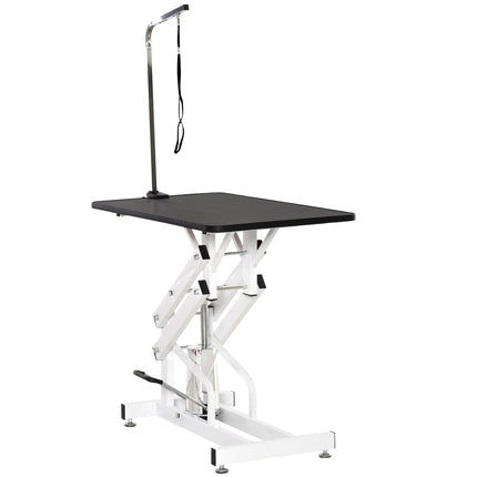 Hydraulic dog grooming table with cutting arm