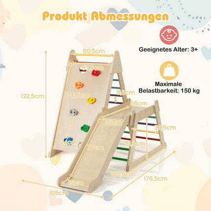 Indoor Jungle Gym with Slide and Climbing Ladders