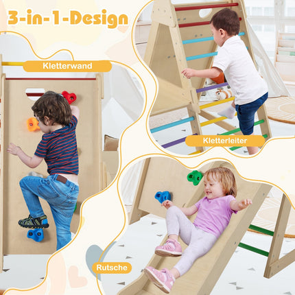 Indoor Jungle Gym with Slide and Climbing Ladders