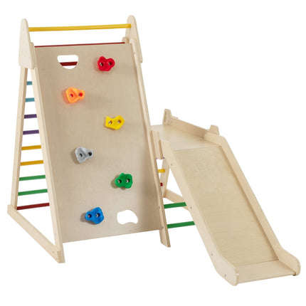 Indoor Jungle Gym with Slide and Climbing Ladders