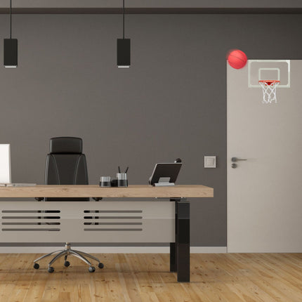 Indoor basketball hoop