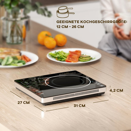 Portable single induction hob, 2000W, 10 power levels, black