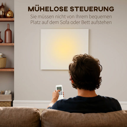 Infrared Wall Heater, Energy-Saving, Thermostat, Timer