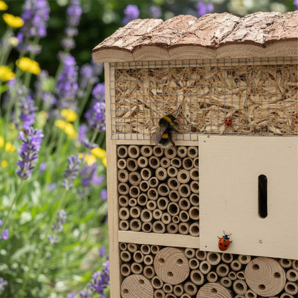 Insect Hotel, Wooden Butterfly & Bee Shelter