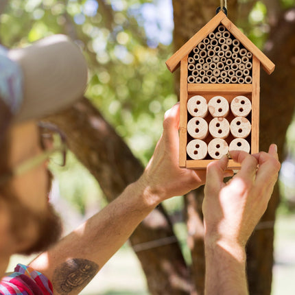 Insect hotel kit