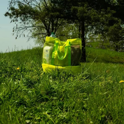 Insulated beach/picnic bag