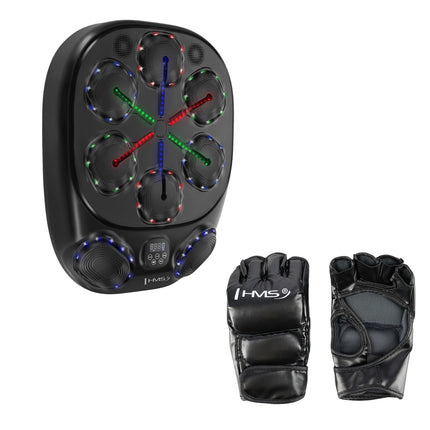 Intelligent Bluetooth Boxing Machine with Gloves, 4000mAh Battery