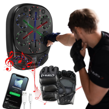 Intelligent Bluetooth Boxing Machine with Gloves, 4000mAh Battery