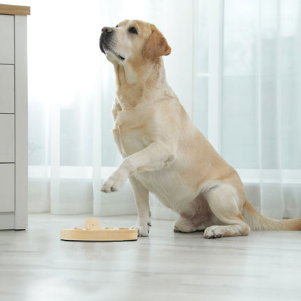 Intelligent toys for dogs