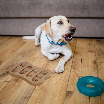 Intelligent toys for dogs