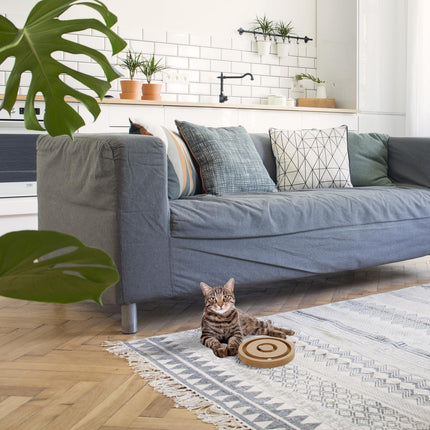 Intelligent toys for dogs and cats