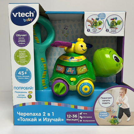 Interactive 2-in-1 Push & Discover Turtle Toy for Kids