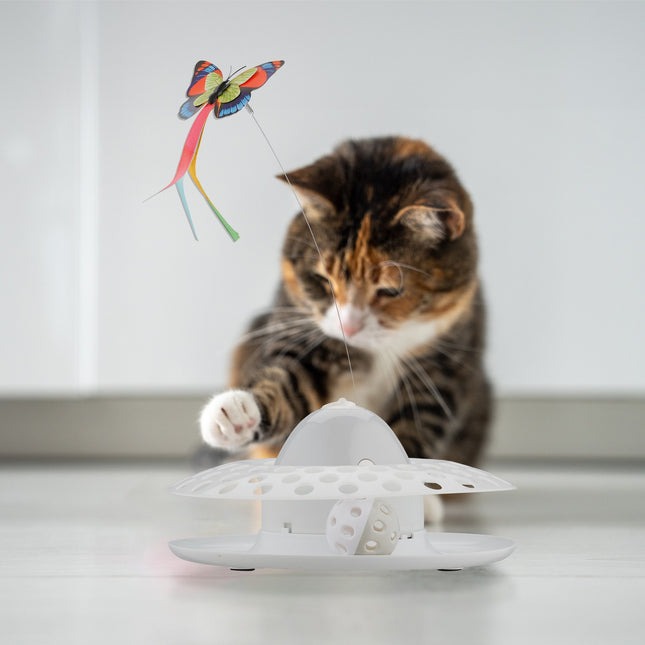 Interactive Cat Toy with Ball Track & Rotating Butterfly