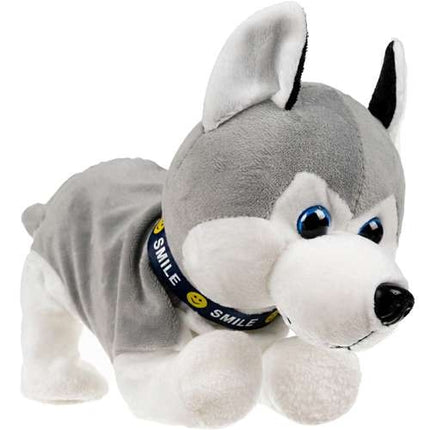 Interactive dog PI4477