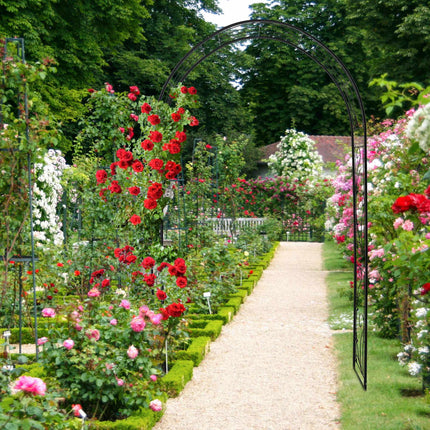 Iron rose arch