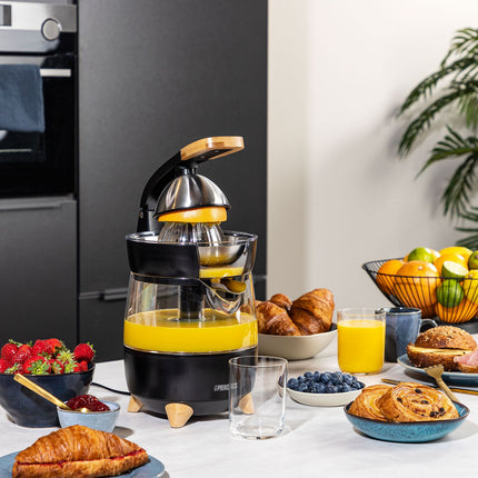 Juicer Luxurious own design 300W