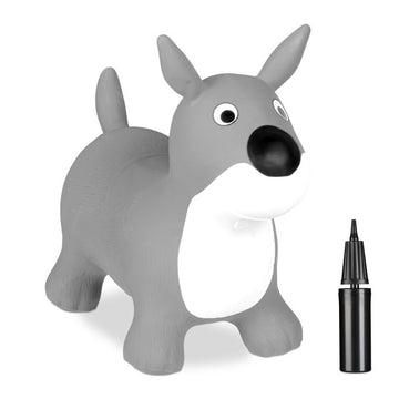 Jumping animal dog in grey