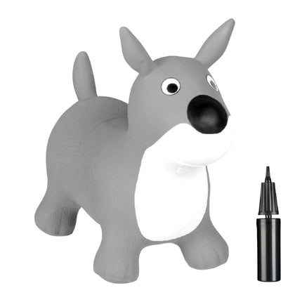 Jumping animal dog in grey