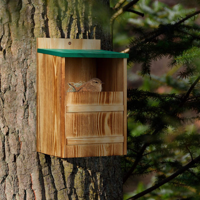 Kit for green roof box