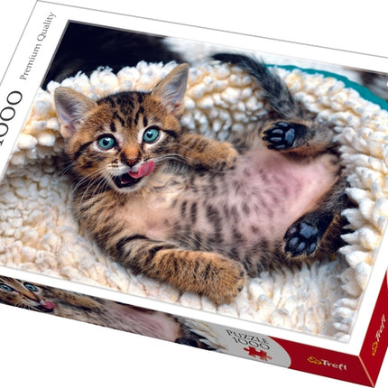 Kittens 1000-Piece Jigsaw Puzzle for Fun Family Activity